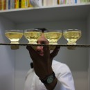champagne-01-gi