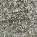 img_4394_sofaer