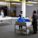 img_6476_glasshopper